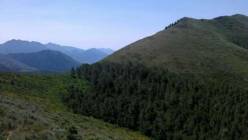 True Summit Mount Mahogany Upper Right