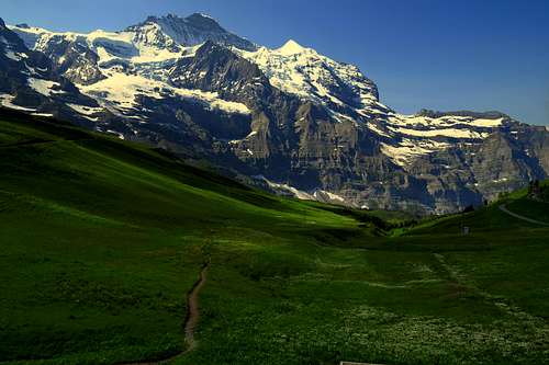 Green meadows with flower floors in contrast to the mighty dome of Jungfrau