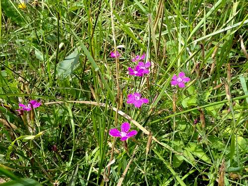 Mount Chyrowa - Our hike – July 17, 2013