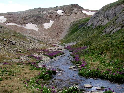 Stream on the surface of the plateau