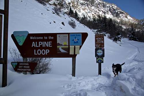 Alpine road in winter