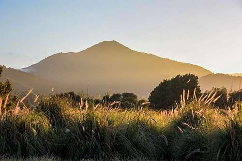 Mt. Tam from Corte Madera Marsh