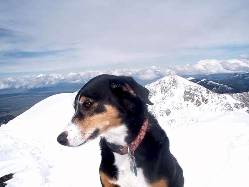 Summit of Blanca Peak