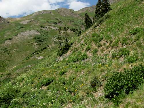 Grassy slopes above Red Mountain Pass