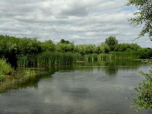 Bogs near the river Jasiołka