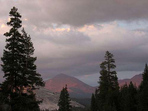 Mt. Dana as seen from...