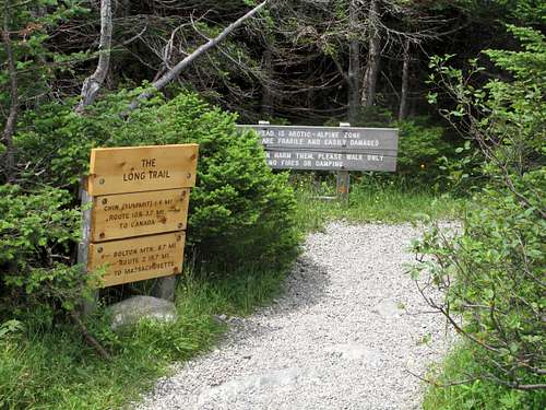Long Trail to summit of Mount Mansfield