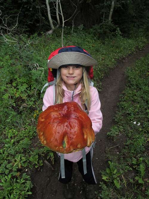 Giant mushroom