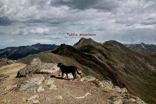 Tuttle Mountain