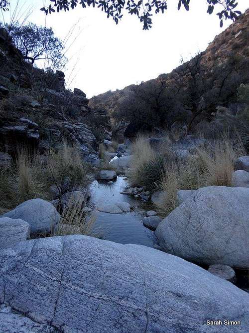 Cool water low in canyon