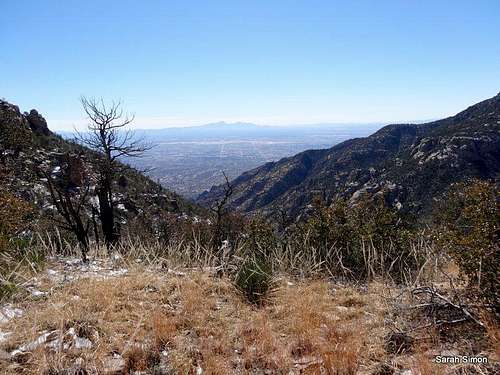Tucson from the Saddle