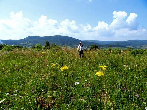 Mount Wyrszgóra - Our hike – July 19, 2013