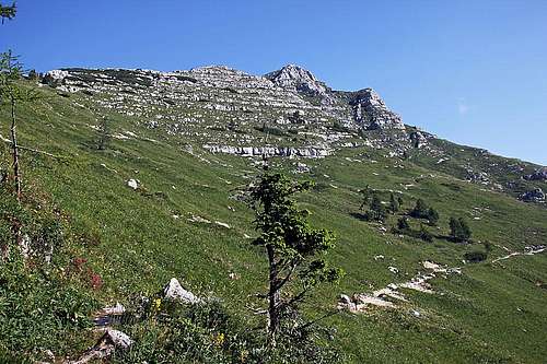 Monte Cregnedul
