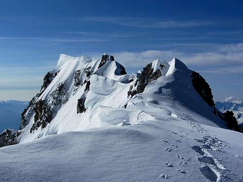 Mont Blanc de Courmayeur, with our fresh trail