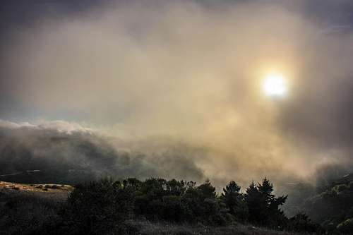 Fog overtakes San Geronimo Ridge