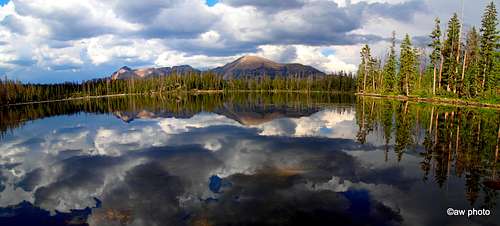 Marshall Lake Reflection