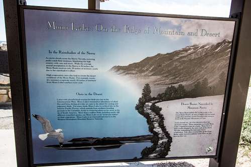 Mono Lake on the edge of Mountain and Desert