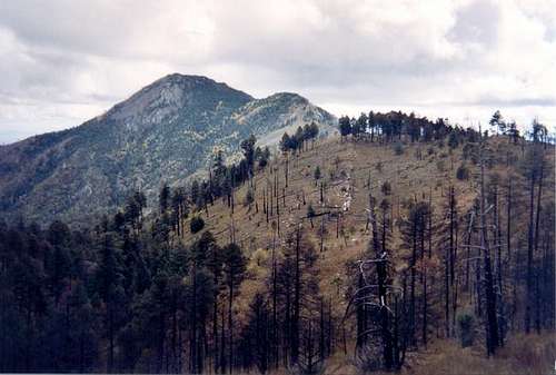 A view of Miller Peak.