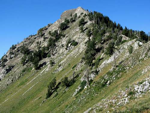 Mount Raymond summit