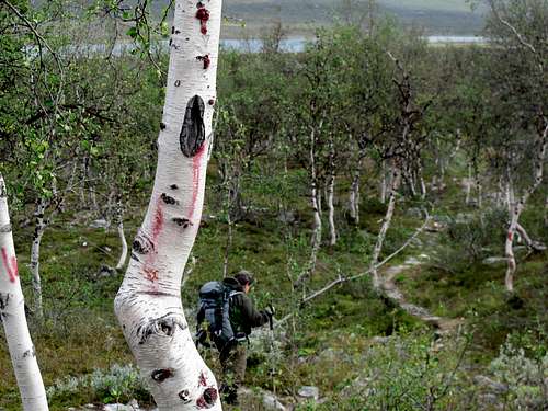 Troms Border Trail markings