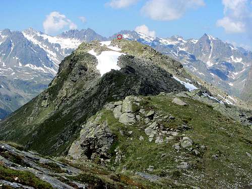 Looking back at the Bielerspitze from the east ridge - the red circle marks the summit cairn