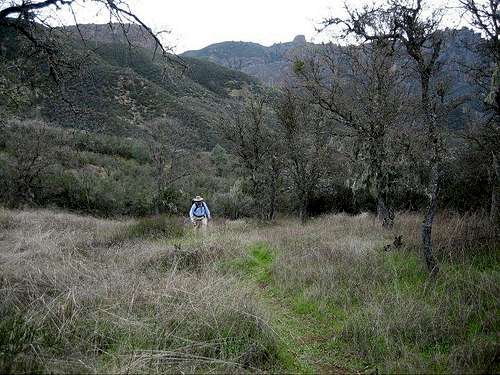 Northern Wilderness Trail