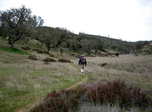 Northern Wilderness Trail