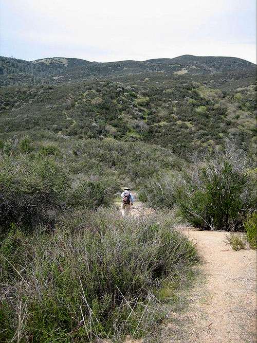 Northern Wilderness Trail