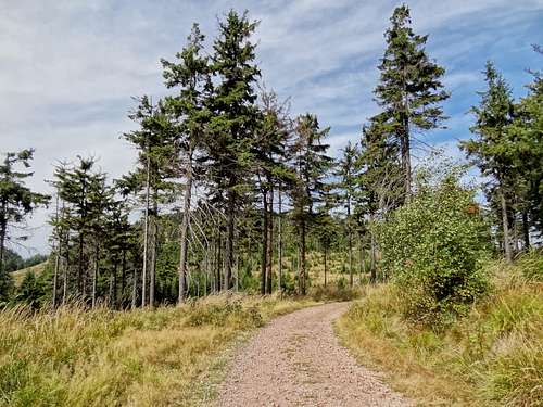 The trail west from Waligóra