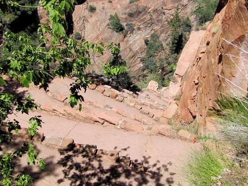 Switchbacks below the junction with Angels Landing Trail
