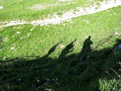 Shadows of hikers