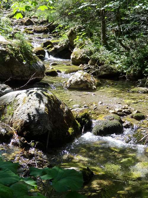 Stream in Dolina Małej Łaki