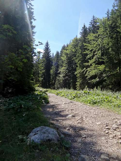 Lower part of Dolina Małej Łaki