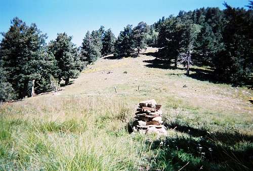 The rock cairn in the meadow.