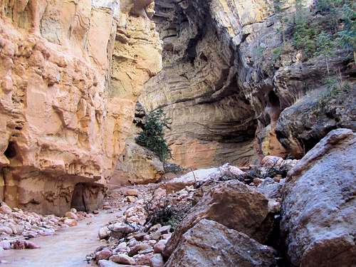 Ashdown Gorge Narrows