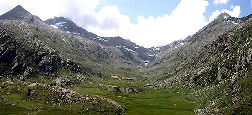  Gran Paradiso GROUP: overall view of  the grassy  Vallone di Bardoney