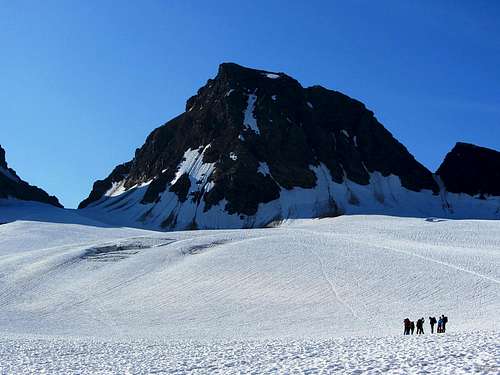 A group of mountaineers on the Ochsentaler Glacier