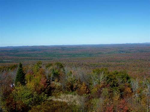 View from Top of Fire Tower
