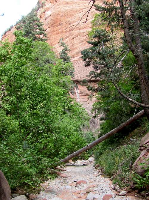 Camp Creek Canyon