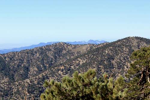 Mount Wilson in Distance from Mount Baden-Powell