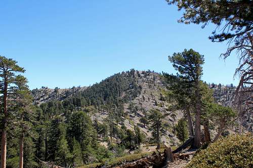 Mount Baden-Powell from west PCT