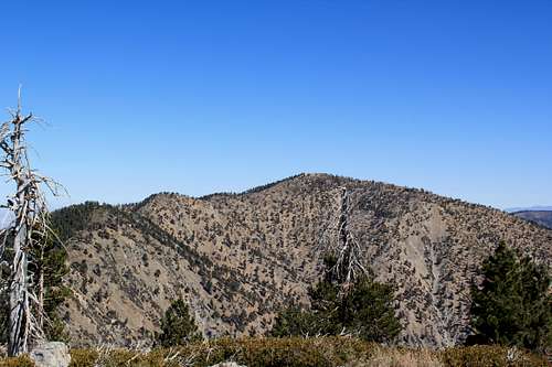 Mount Baden-Powell and Mount Burnham from Throop Peak