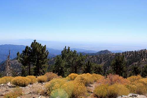 View southwest from Throop Peak