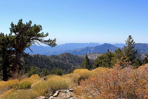 View toward Mount Wilson from Throop Peak