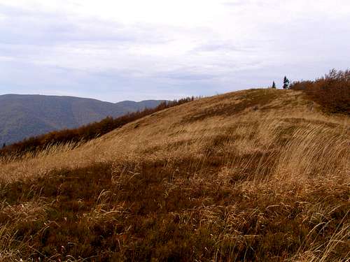 Summit of Mount Little Jasło