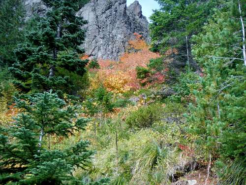 Looking at Fall Colors up by Kelly Butte