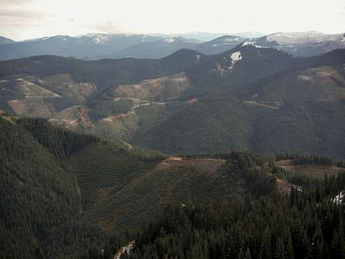 South Cascade landscape
