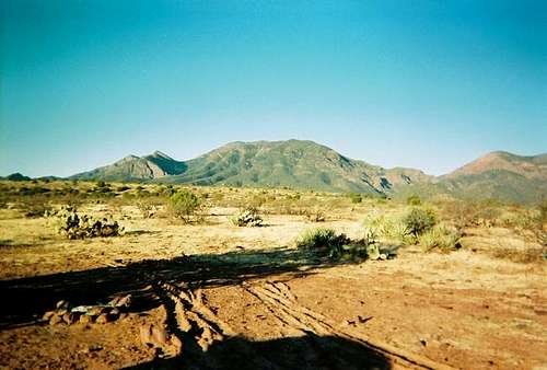 A view of Mazatzal Peak