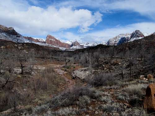 Zion cliffs from Coalpits Wash