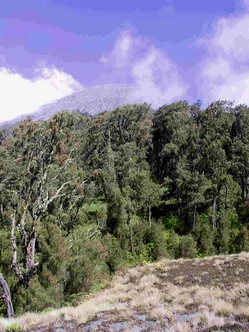 Semeru peak from Kalimati....